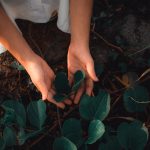 बुजुर्गों से सीखें — सतत जीवन की कला बुजुर्गों से सीखें — सतत जीवन की कला Learning Sustainability from Elders