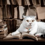 Wisdom of elders and knowledge of youth बुजुर्गों की बुद्धि और युवाओं का ज्ञान