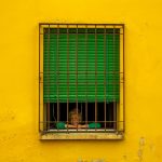 How Necessary Are Old Age Homes? वृद्धाश्रम कितने आवश्यक हैं?